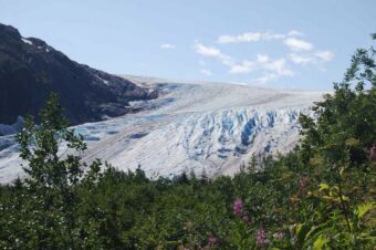 Exit Glacier, Kenai Fjords National Park. Harding Icefield Trail, Alaska | Photography by Jenny S.W. Lee