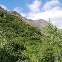 Kenai Fjords National Park. Harding Icefield Trail, Alaska | Photography by Jenny S.W. Lee