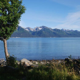 Seward, Alaska | Photography by Jenny S.W. Lee