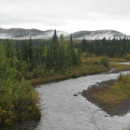 Horseshoe Lake Trail, Denali National Park, Alaska | Photography by Jenny S.W. Lee