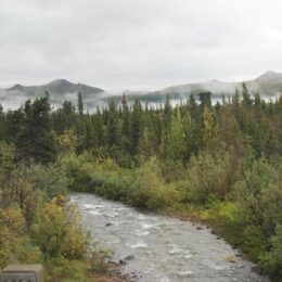 Denali National Park, Alaska | Photography by Jenny S.W. Lee