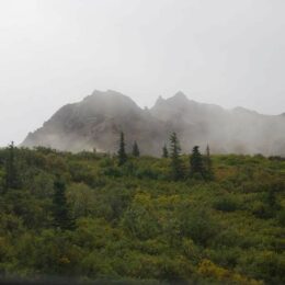 Denali National Park, Alaska | Photography by Jenny S.W. Lee