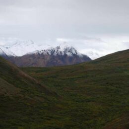 Denali National Park, Alaska | Photography by Jenny S.W. Lee