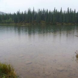 Horseshoe Lake Trail, Denali National Park, Alaska | Photography by Jenny S.W. Lee