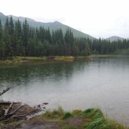 Horseshoe Lake Trail, Denali National Park, Alaska | Photography by Jenny S.W. Lee