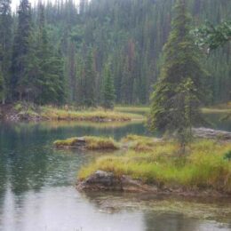 Horseshoe Lake Trail, Denali National Park, Alaska | Photography by Jenny S.W. Lee