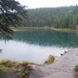 Horseshoe Lake Trail, Denali National Park, Alaska | Photography by Jenny S.W. Lee